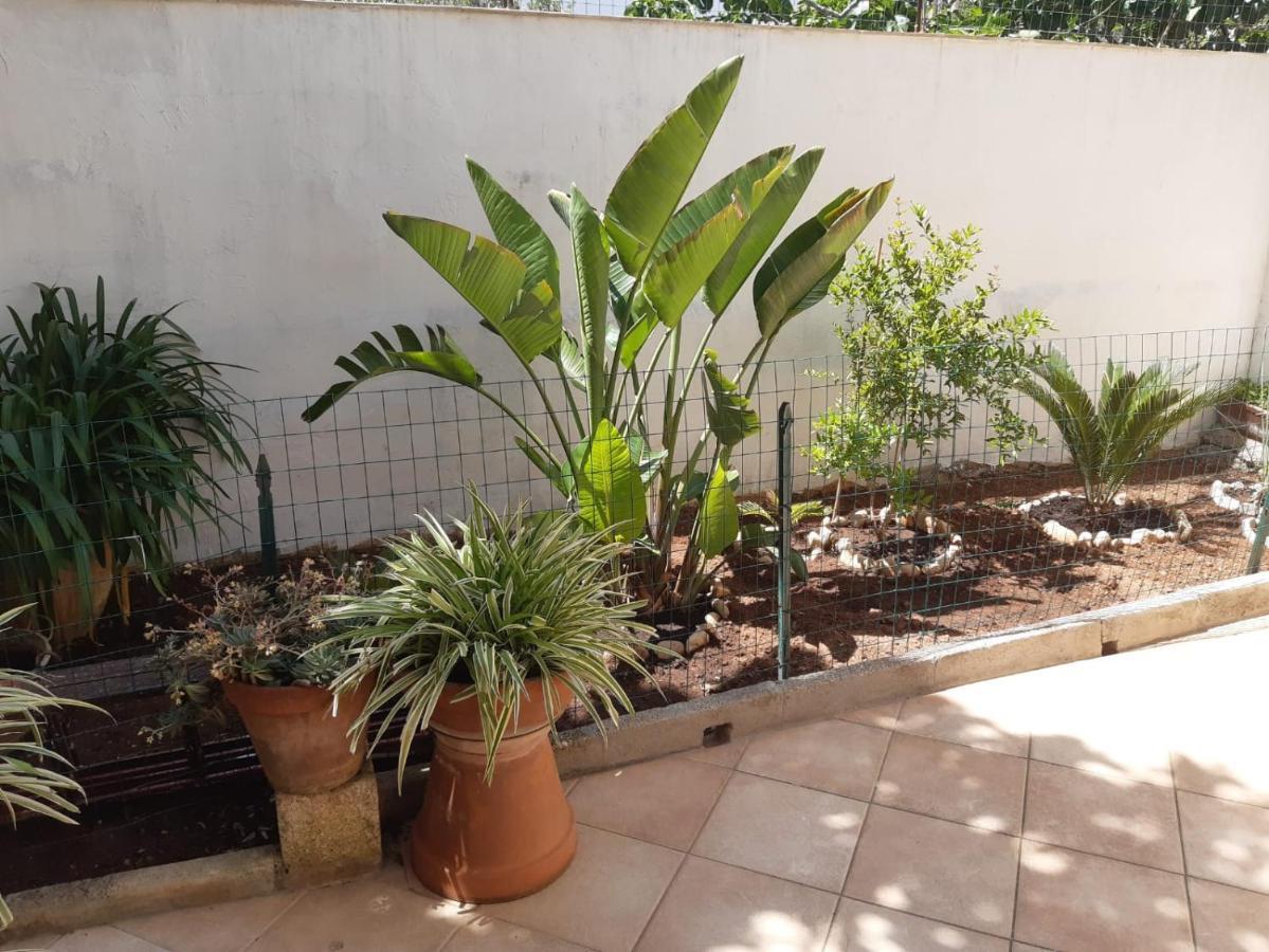 Casa Vacanza Rita มารินาดิเปสโคลูเซ ภายนอก รูปภาพ